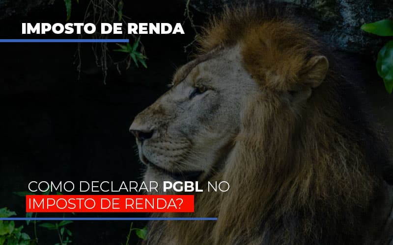 ir2020:como-declarar-pgbl-no-imposto-de-renda - IR2020: Como declarar PGBL no Imposto de Renda?