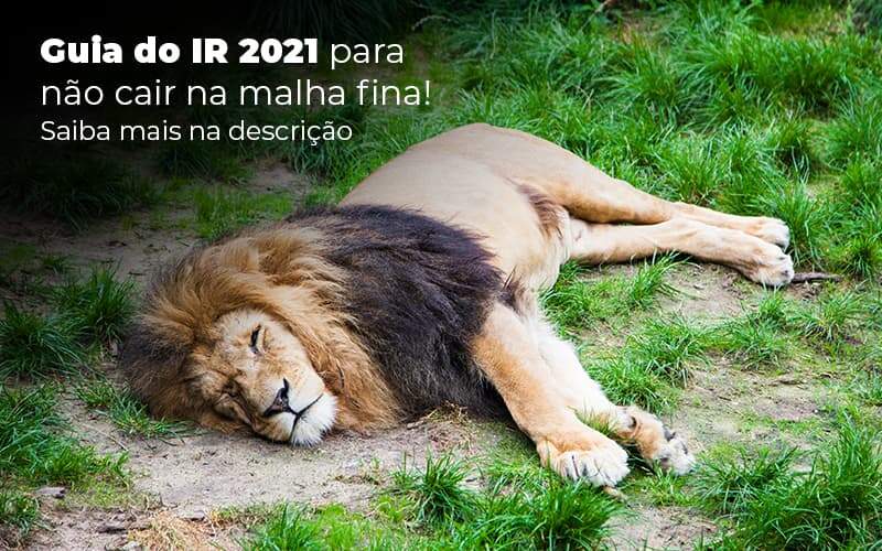 Guia Ir 2021 Para Nao Cair Na Malha Fina Saiba Mais Na Descricao Post 1 - JB Contabilidade - IR 2021 – o que é preciso saber sobre?