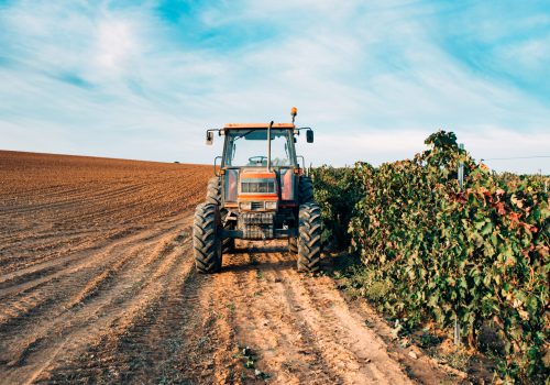 Tractor in a vineyard Tractor in a vineyard